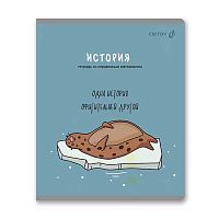 Тетрадь предм. 48л. SVETOCH "Большая перемена-История" Т280 (01816) выб.лак (клетка)