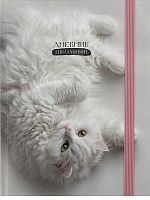 Дневник 1-11кл. Проф-Пресс тв.обл. "Нежный котик-2" Д40-9436 мат.лам.,выб.лак,с резинкой