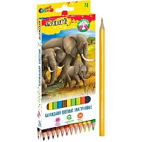 Карандаши пластик. 24цв. deVENTE "Животный мир" 5024311 шестигр.,к/к