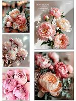 Тетрадь 48л. (клетка) Проф-Пресс "Нежные пионы-3" 48-9752 цв.мел.обл.