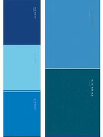 Тетрадь 48л. (клетка) Проф-Пресс "Оттенки синего-2" Т48-0135 цв.мел.обл.,софт-тач,асс.