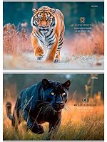 Альбом для рис.40л. Проф-Пресс "Большие дикие кошки" А40-8233 лён,бл.-офс.,на скобе,асс.