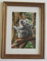 Фоторамка Сосна Питер 13*18 3N57 орех,пластик-АПЭТ,ширина багета-16мм