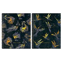 Тетрадь120л. (клетка) BG спираль "Magic flow" 67200 тв.обл.,мат.лам.,тисн.фольг.