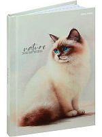 Записная книжка А6  80л. Проф-Пресс "Красивые коты-2" ЗК80-0075 тв.обл.,глянц.лам.,лён