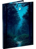Записная книжка А6  96л. Проф-Пресс "Лунные пейзажи-1" ЗК96-0082 тв.обл.мел.,глянц.лам.,клетка