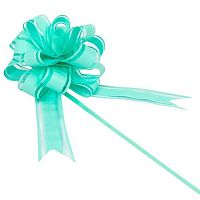 Бант-Шар 30мм КОКОС 242706 мятный