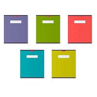 Тетрадь 48л. (линейка) EK "Unicolor Bright" 54238 асс.