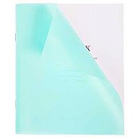 Дневник 1-11кл. ХАТ "Бирюза" 00123 пластик.обл.