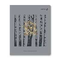 Тетрадь предм. 48л. SVETOCH пластик.обл. "Архивариус-Русский язык" Т291 (01882) тисн.фольг.(линейка)