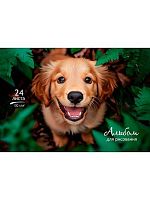 Альбом для рис.24л. Проф-Пресс "Обаятельный пёсик" 24-7285 на скобе